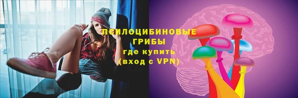 прущие грибы Алексин