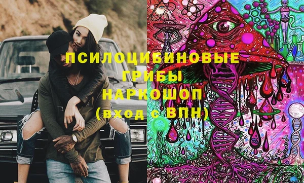 прущие грибы Алексин